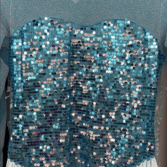 Adult Elsa Frozen Dress Costume - Picture 10 of 11